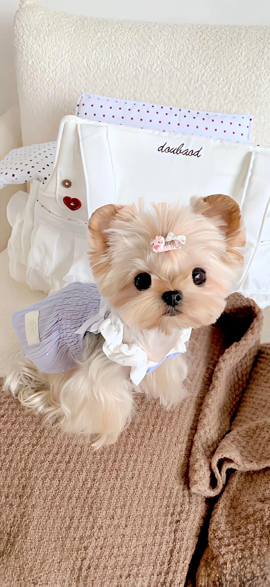 Share｜氛围感壁纸