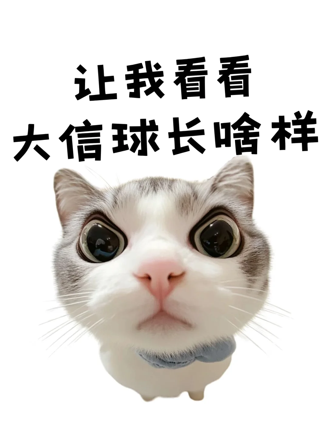 8月热梗表情🔥，马上更新你的新鲜表情