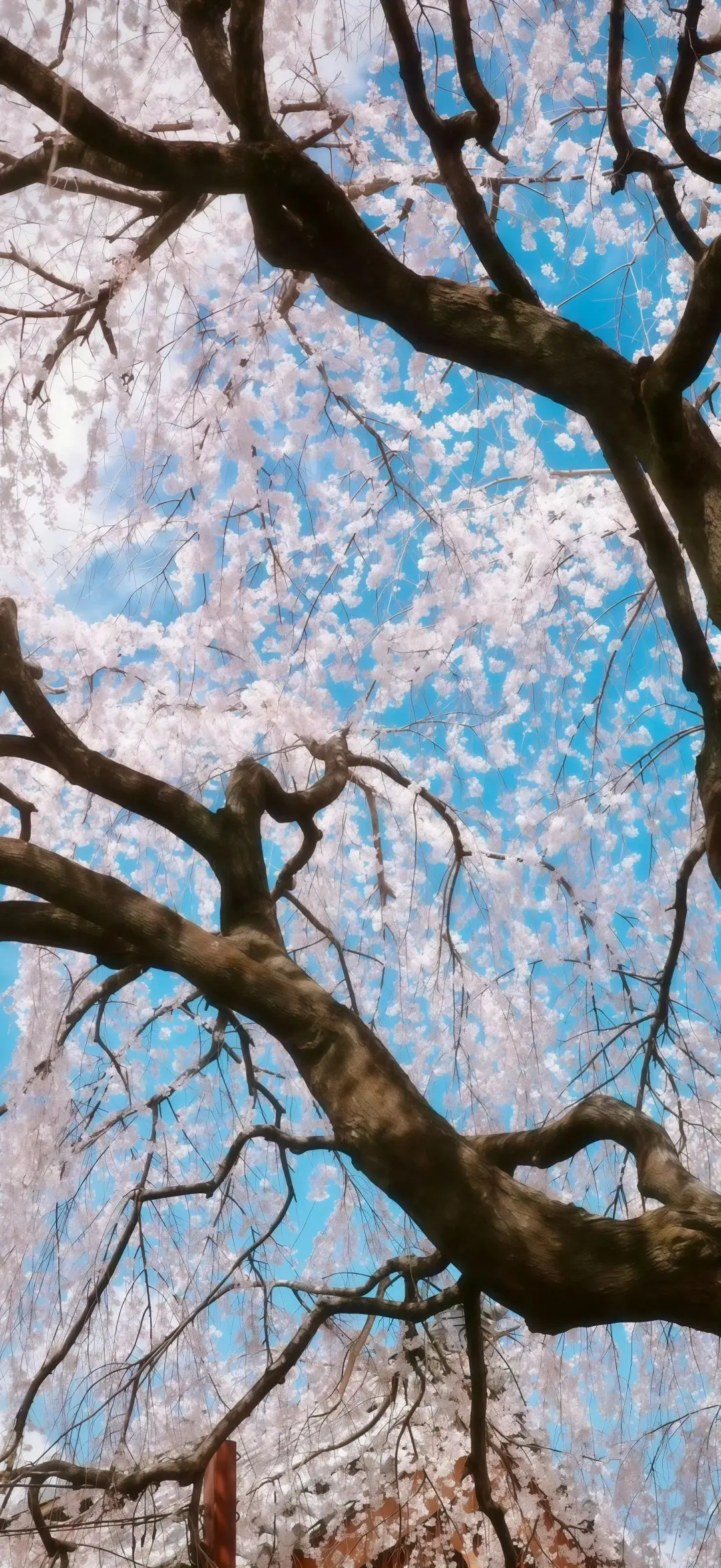 ios263D壁纸景深壁纸分享