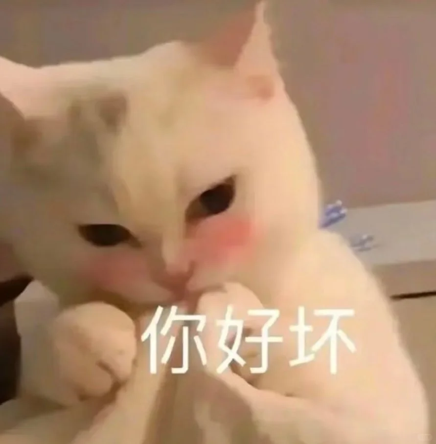 甜甜的猫猫表情包又来啦！