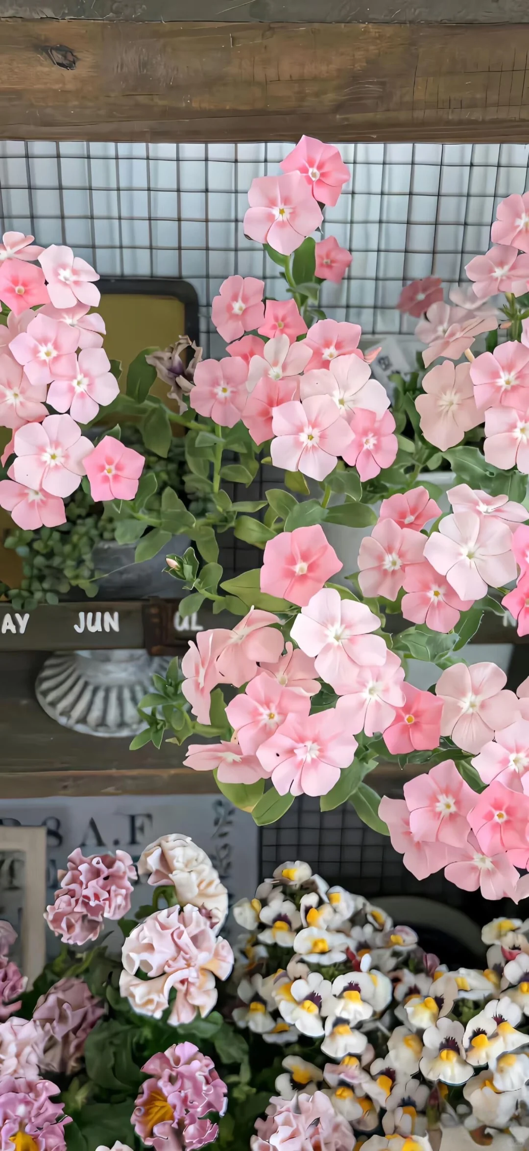 Share｜氛围感壁纸