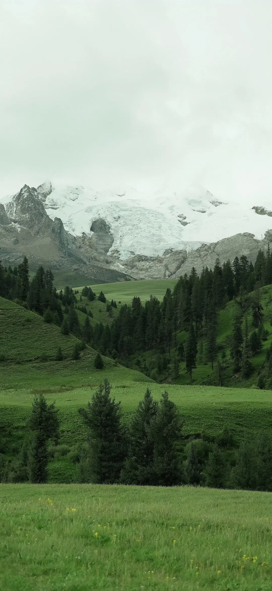 绝美风景壁纸分享✨
