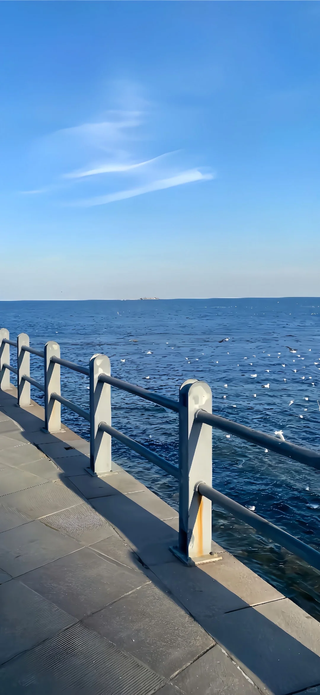 share丨秋日壁纸推荐10.29