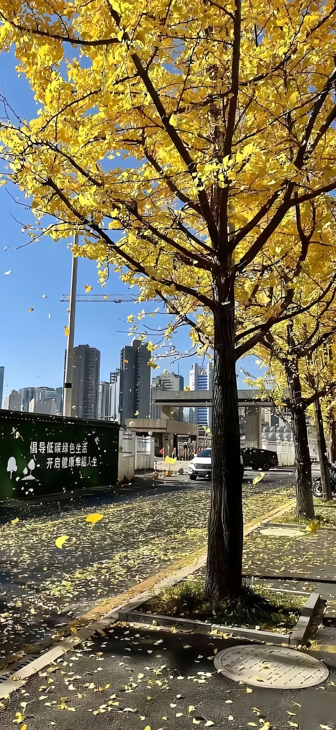 share丨秋日壁纸推荐10.29