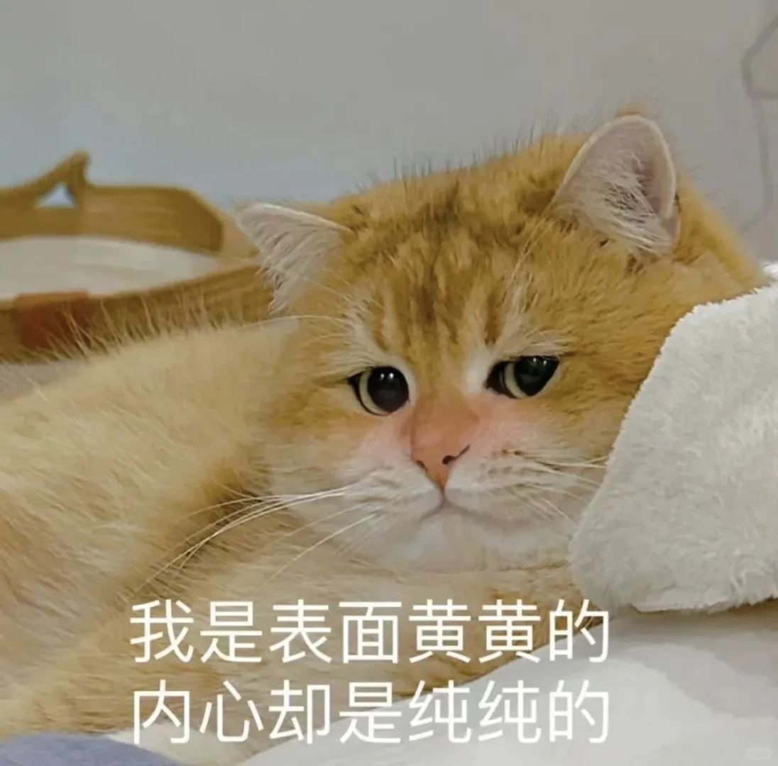 公主收表情包啦……