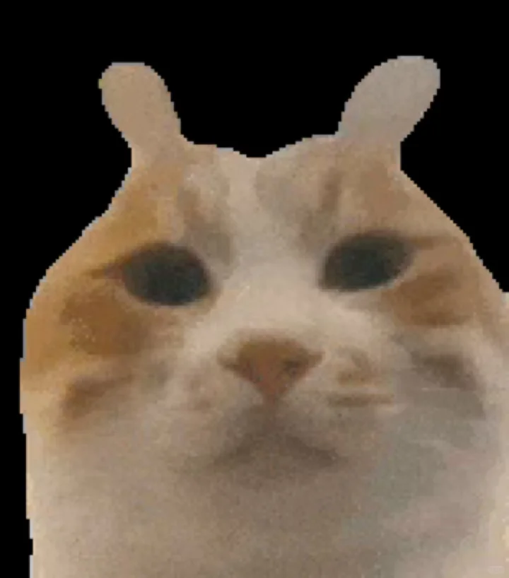 抽象猫meme动态表情包分享 (｡ì _ í｡)