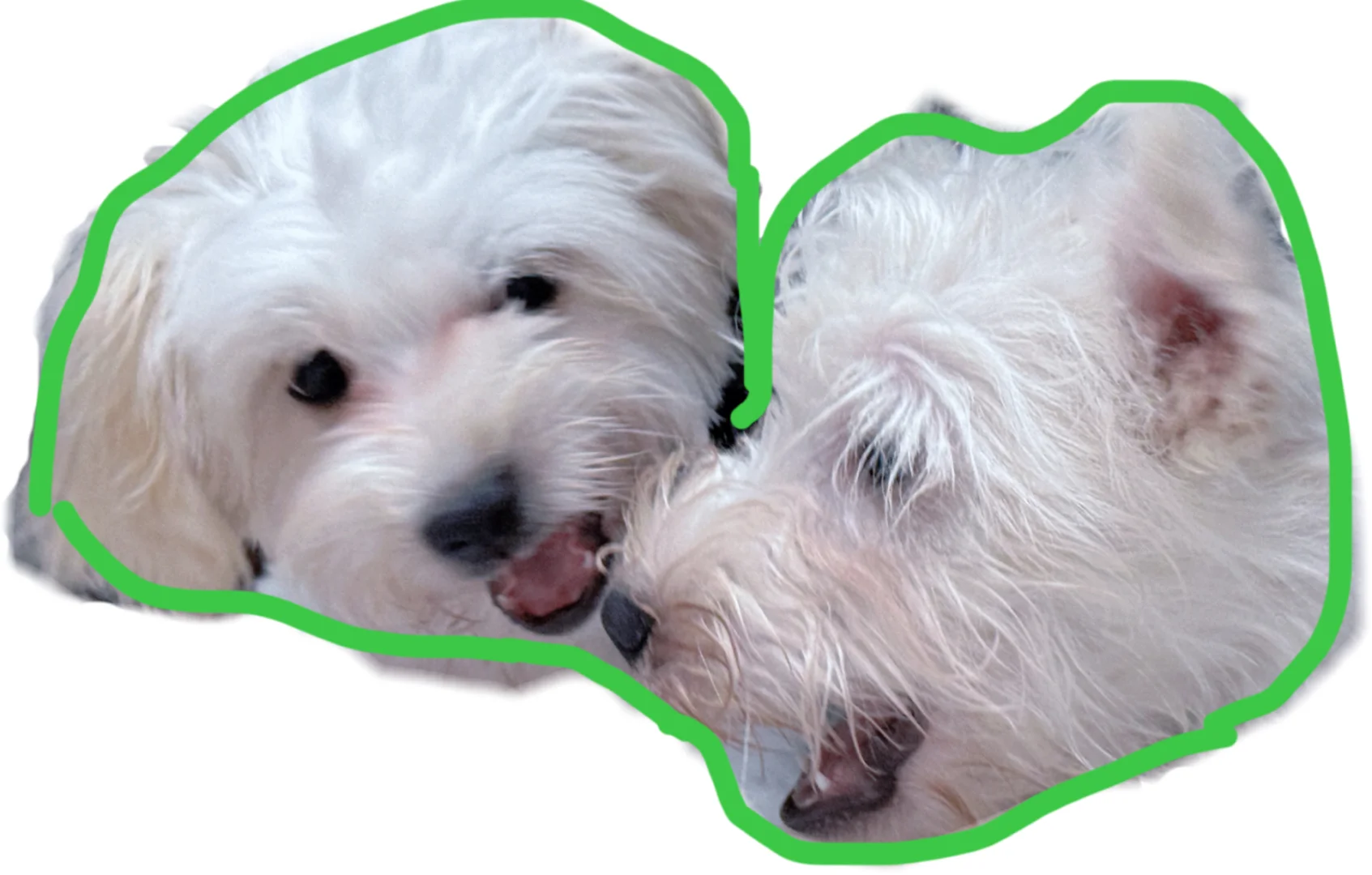 （过了）微信表情包审核被退三次