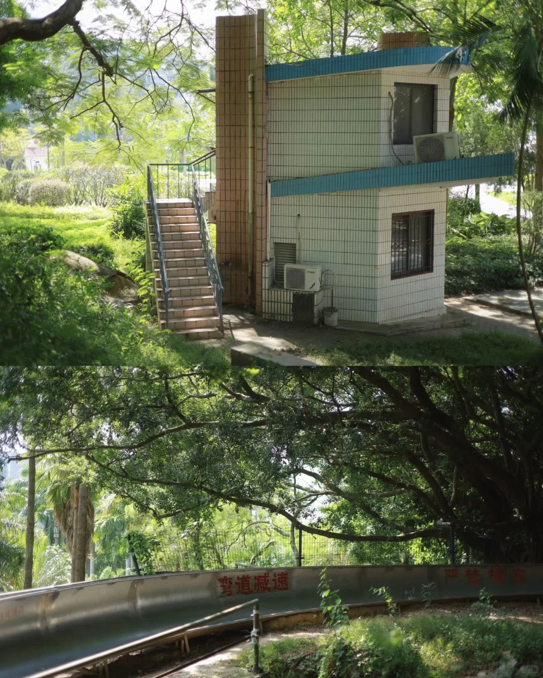 本周日厦门找互勉模特