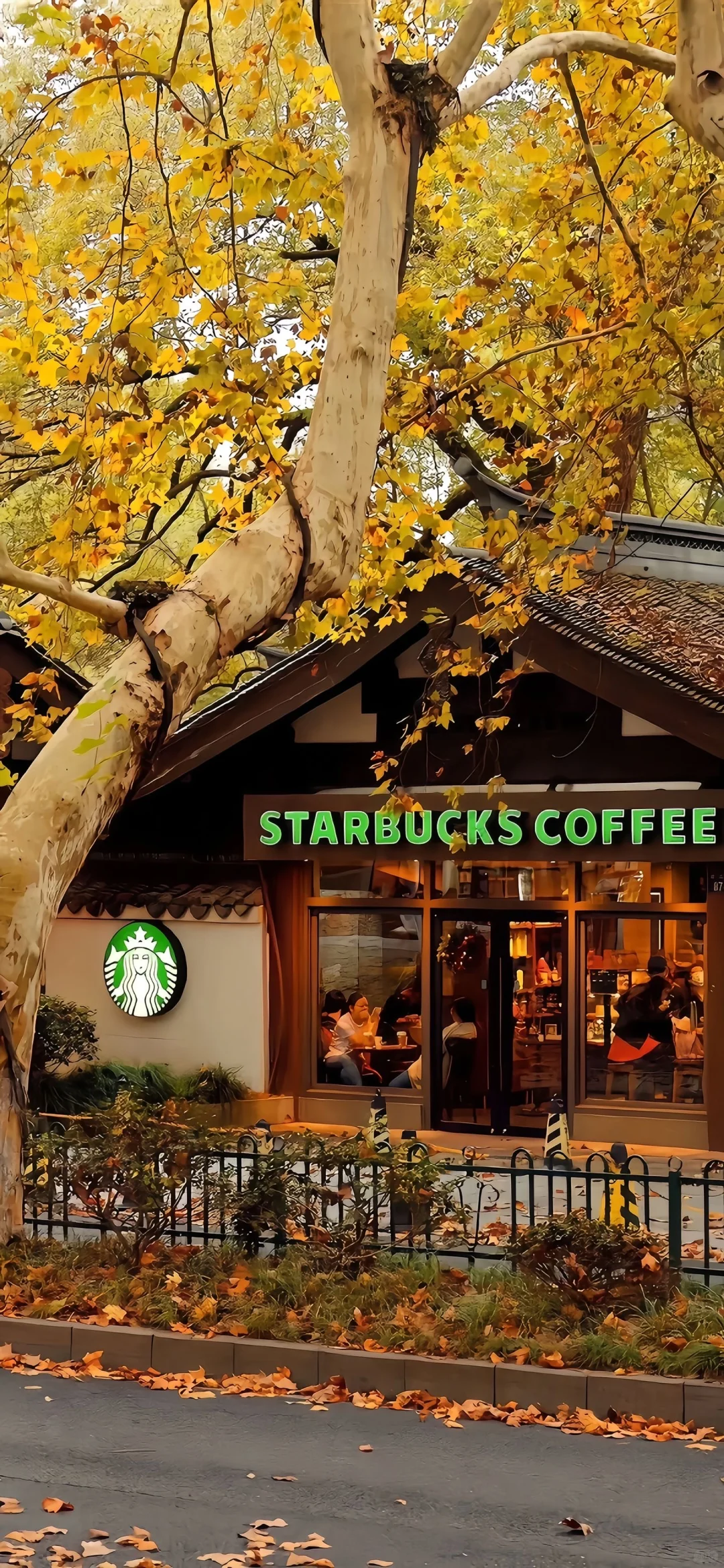 share丨秋日壁纸推荐10.29