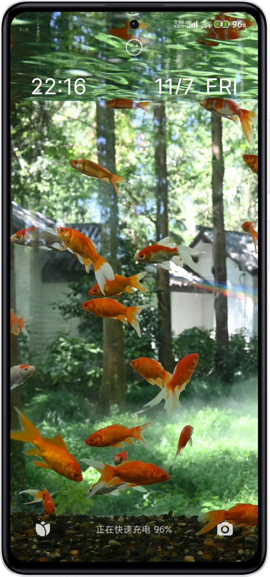 把鱼缸搬进手机屏幕里！🌊