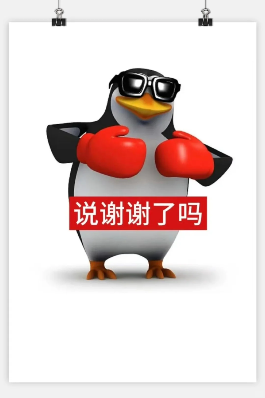 今日份审鹅积累企鹅表情包来啦