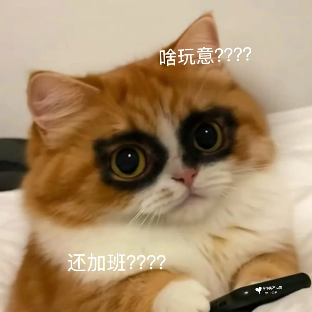 会动的猫猫表情包也太可爱了……