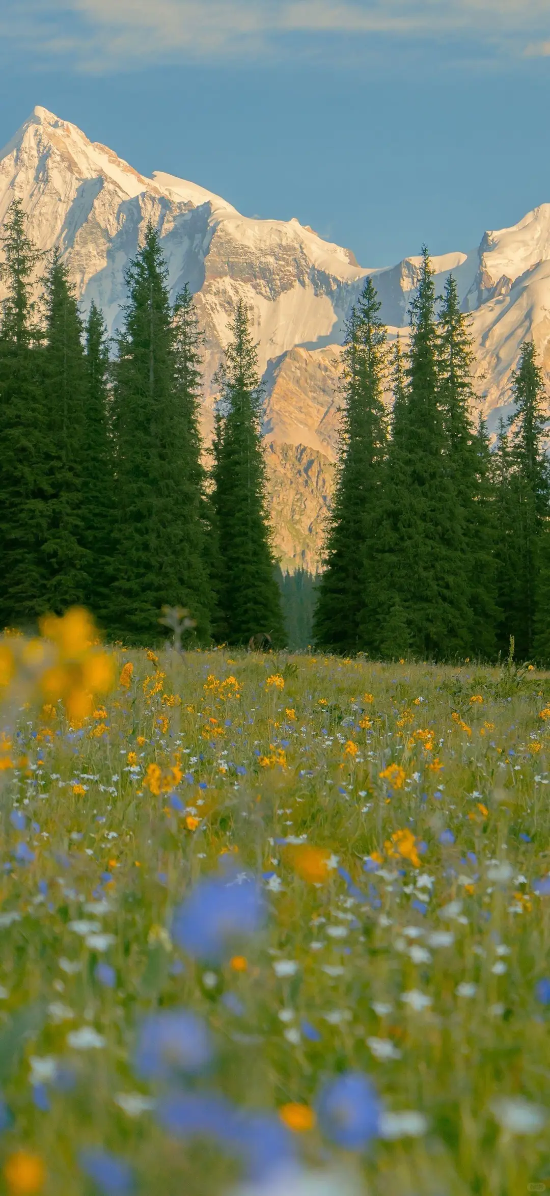 绝美风景壁纸分享✨
