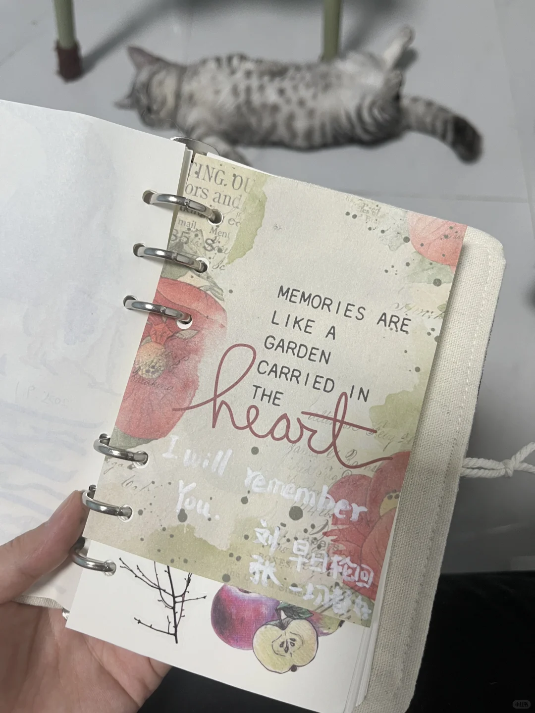 气血方刚的女子🧍‍♀️