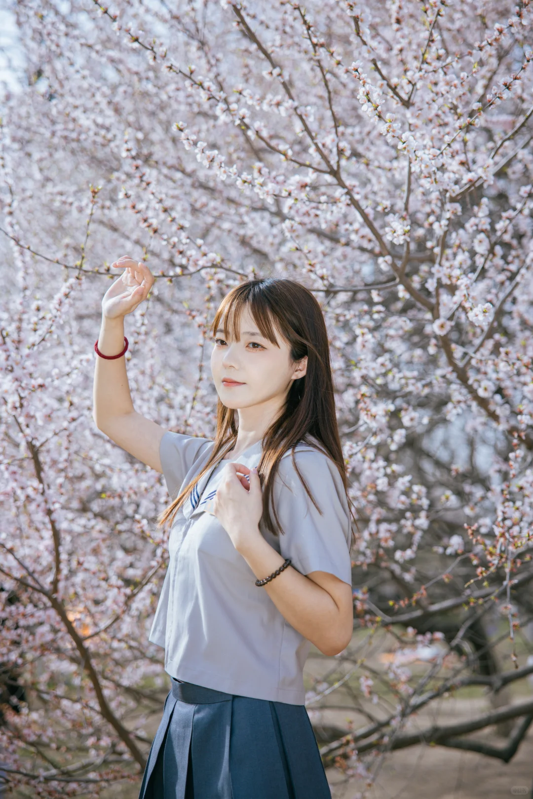 花会盛开在春日 你也是🌸