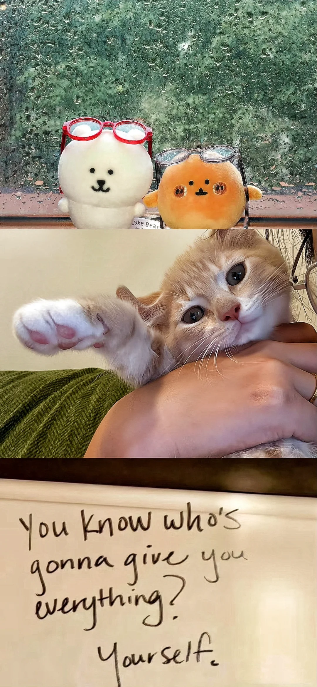 share🍥|可爱壁纸⊹✮₊⋆