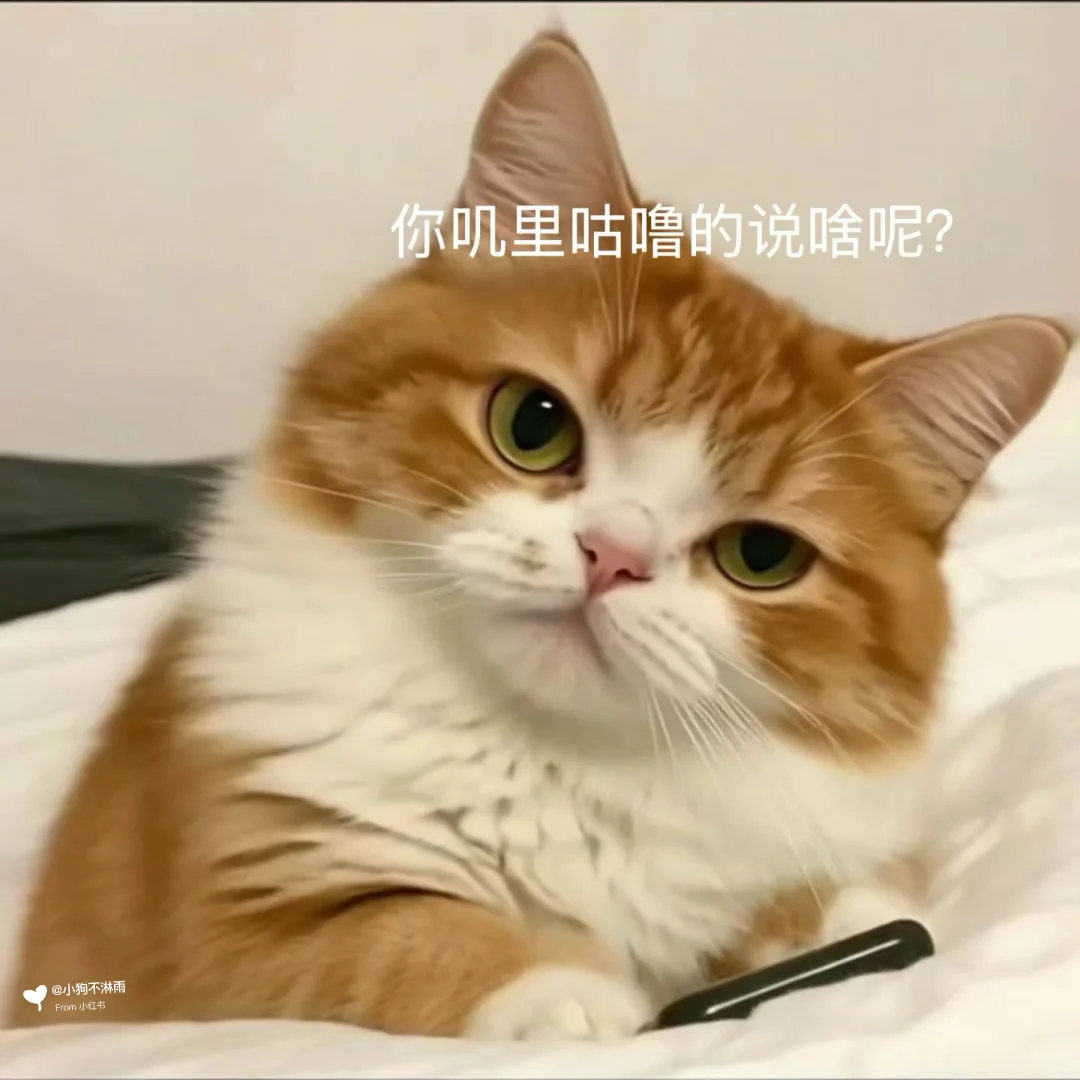 会动的猫猫表情包也太可爱了……