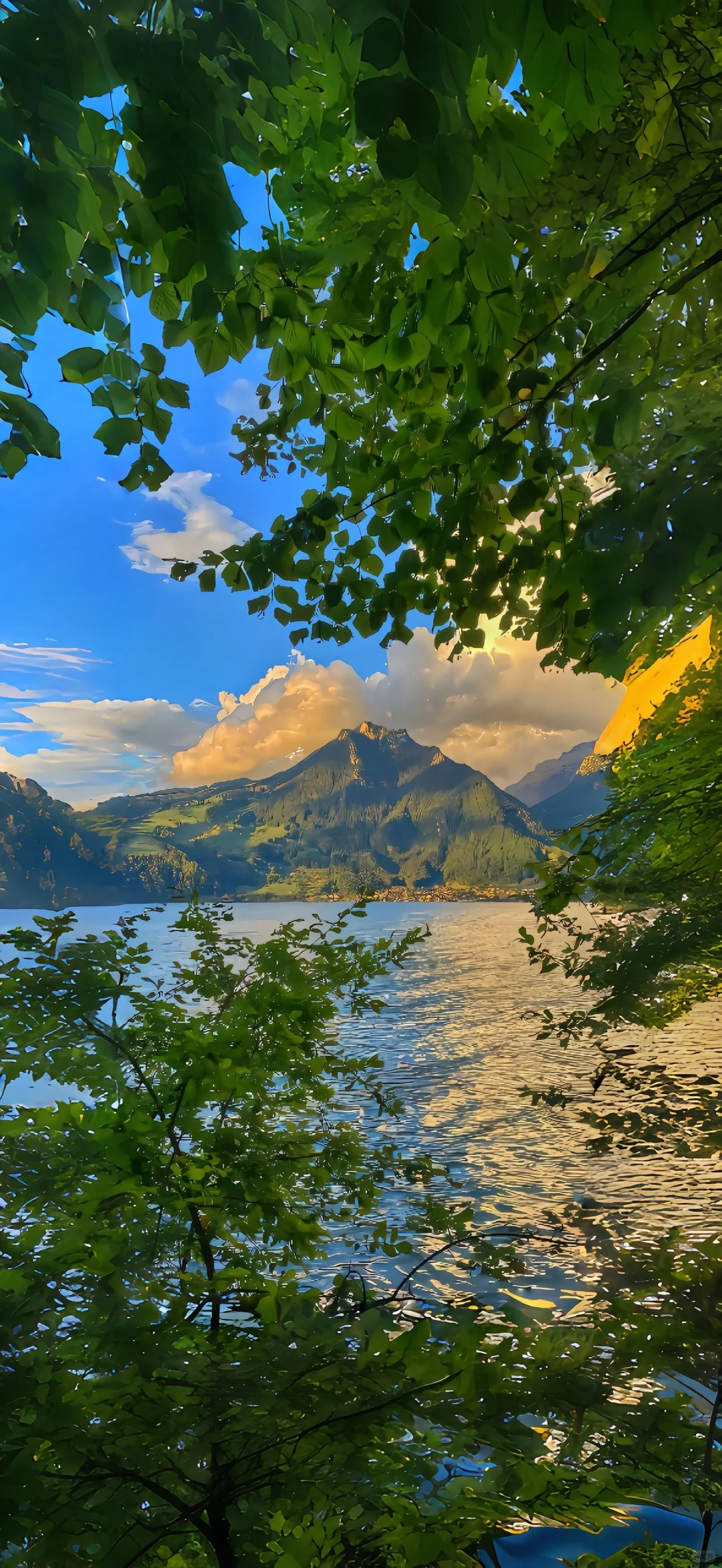 share丨生机盎然的壁纸