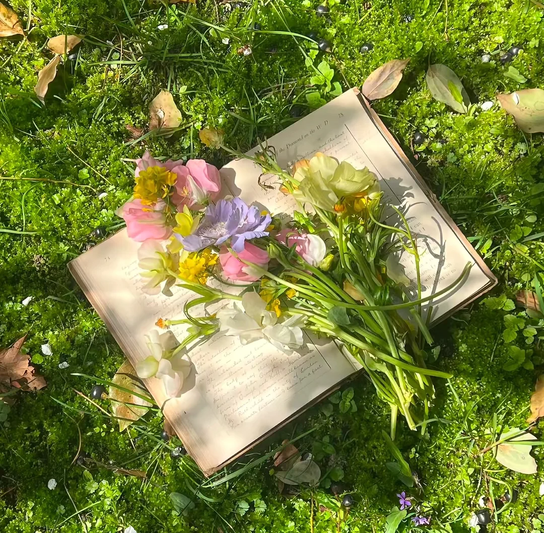 𝑺𝒉𝒂𝒓𝒆粉色🌷壁纸