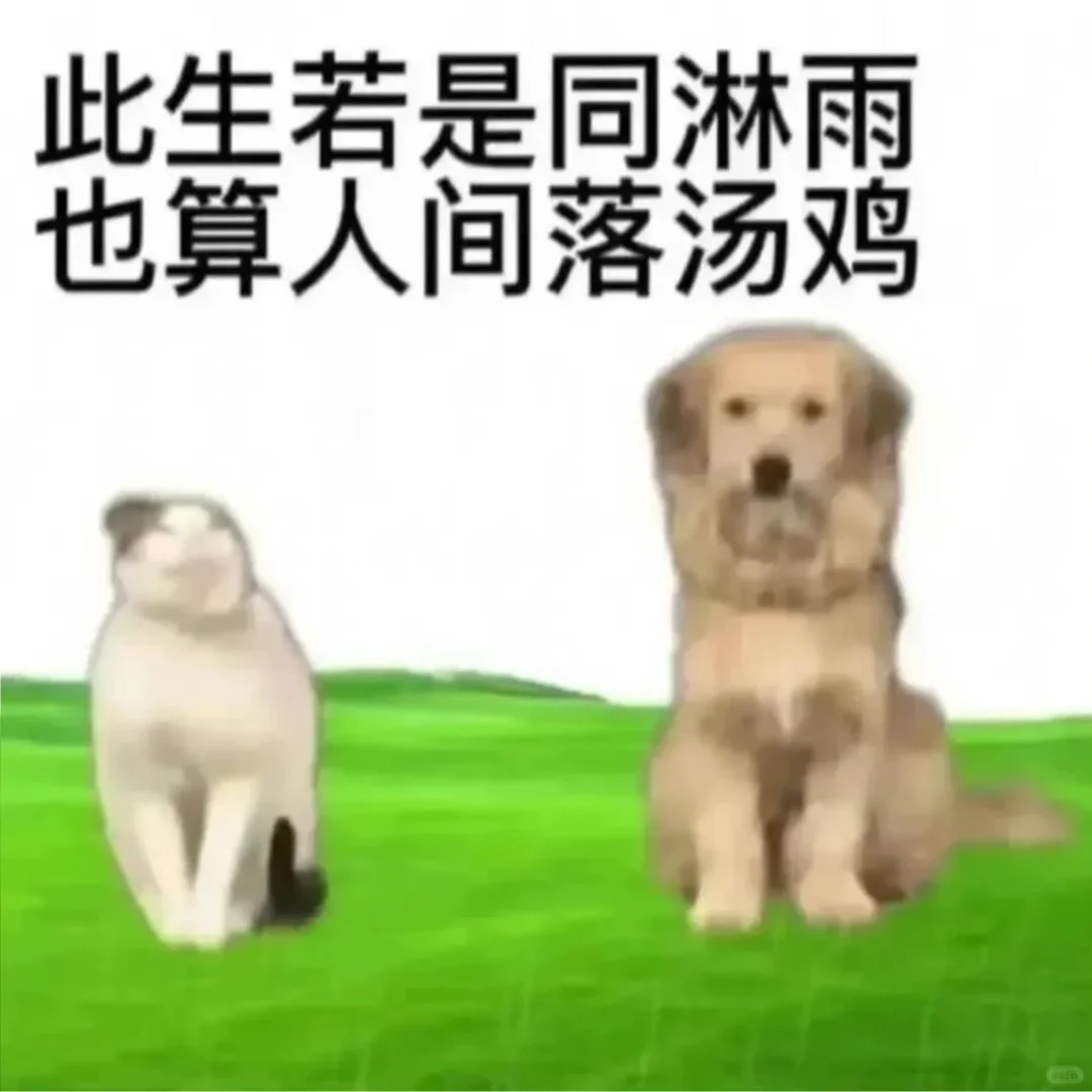 最近存的抽象表情包