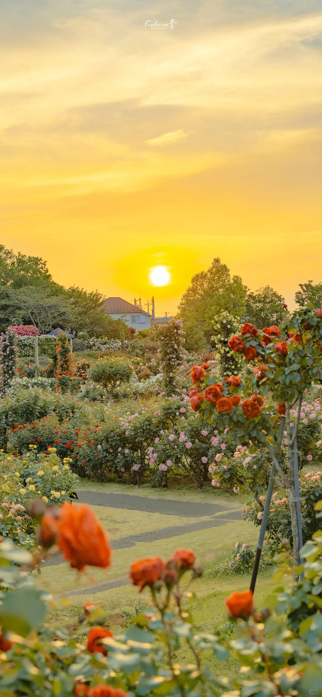 绝美风景壁纸分享✨