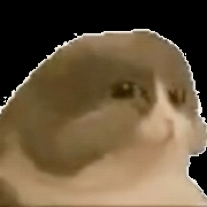 低脂猫猫表情包