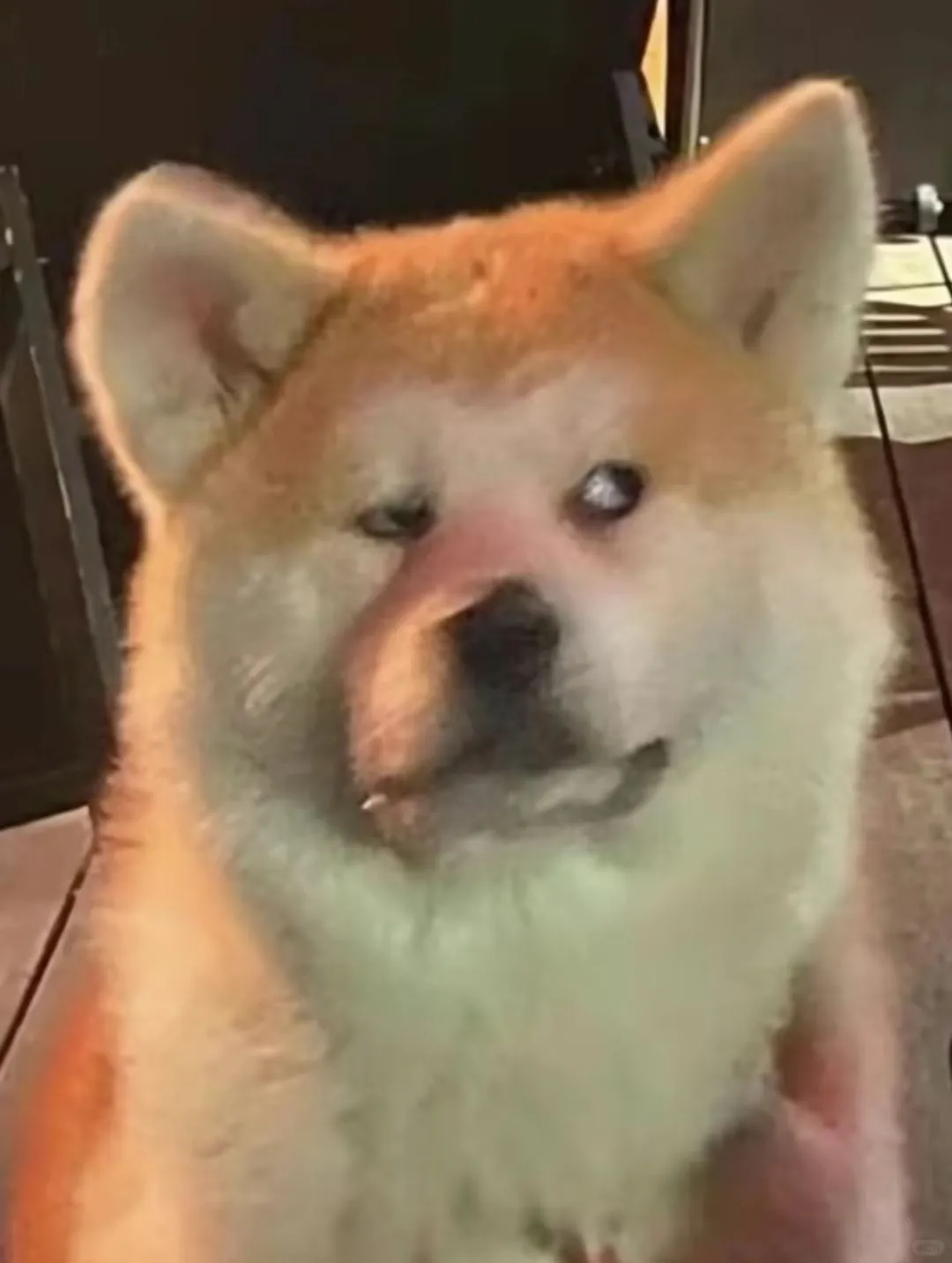 想吃小巴掌了？