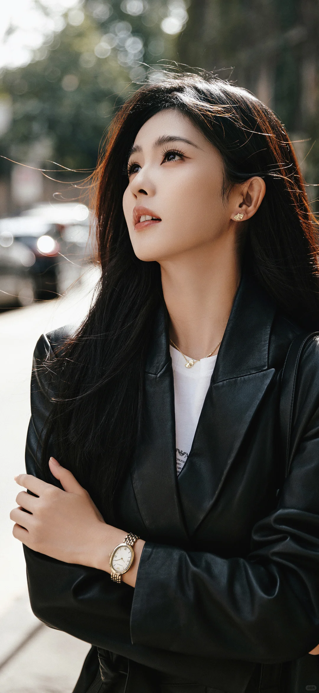 20251111明星壁纸｜【白鹿】～