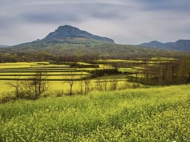 具山手记6：《规划就像比基尼》