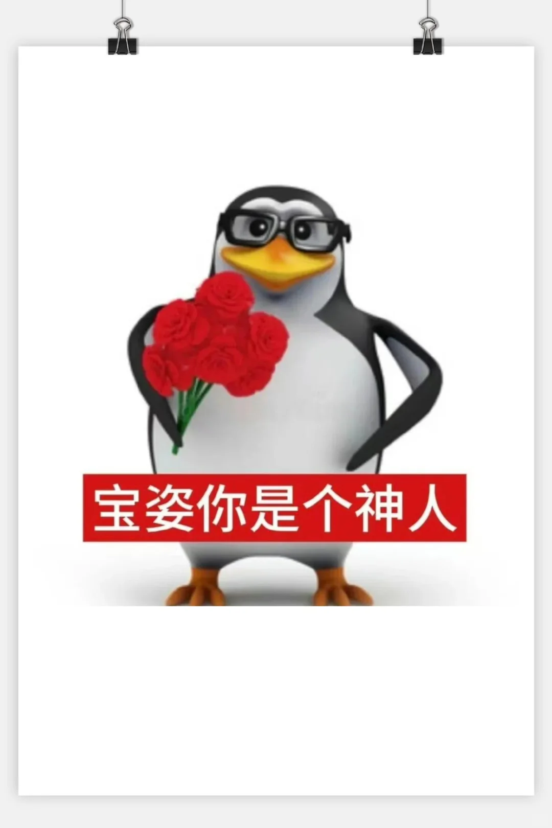 今日份审鹅积累企鹅表情包来啦