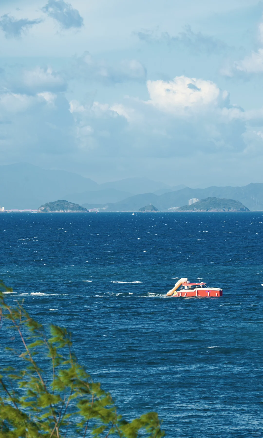 Summer by the Shore 📷