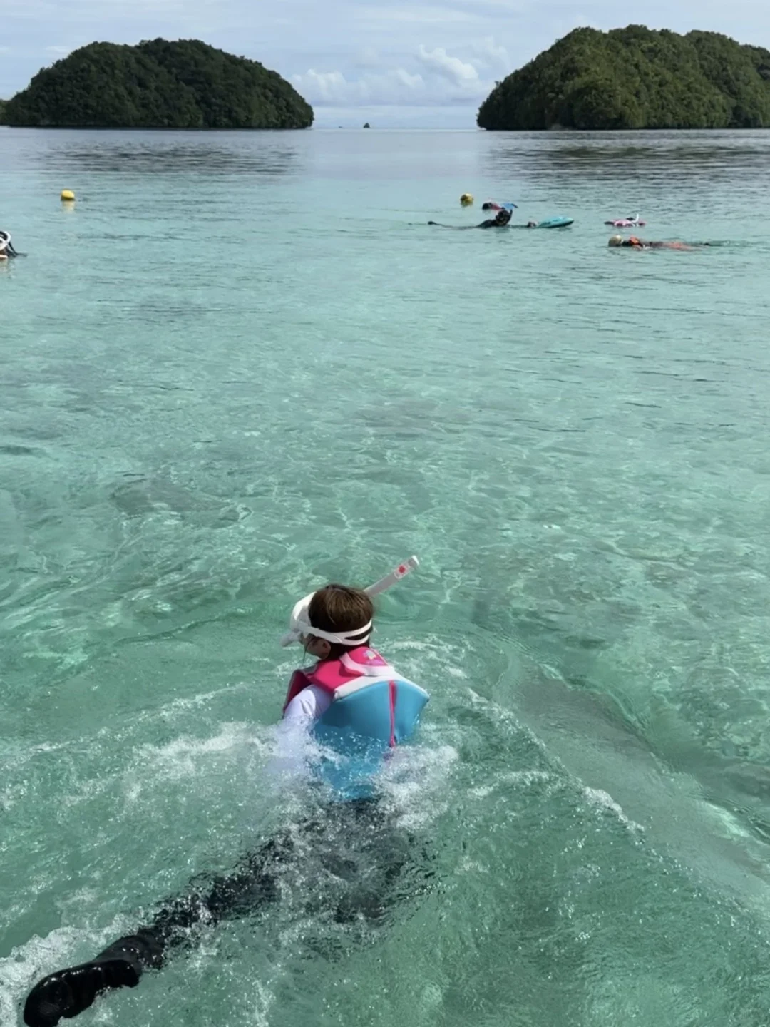 Plog先发⋆.˚⭒⋆.˚Palau🇵🇼