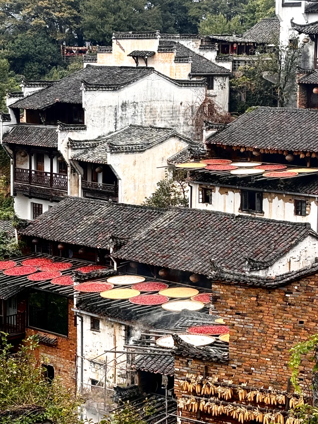 不做小公主，做一会农家女🍂