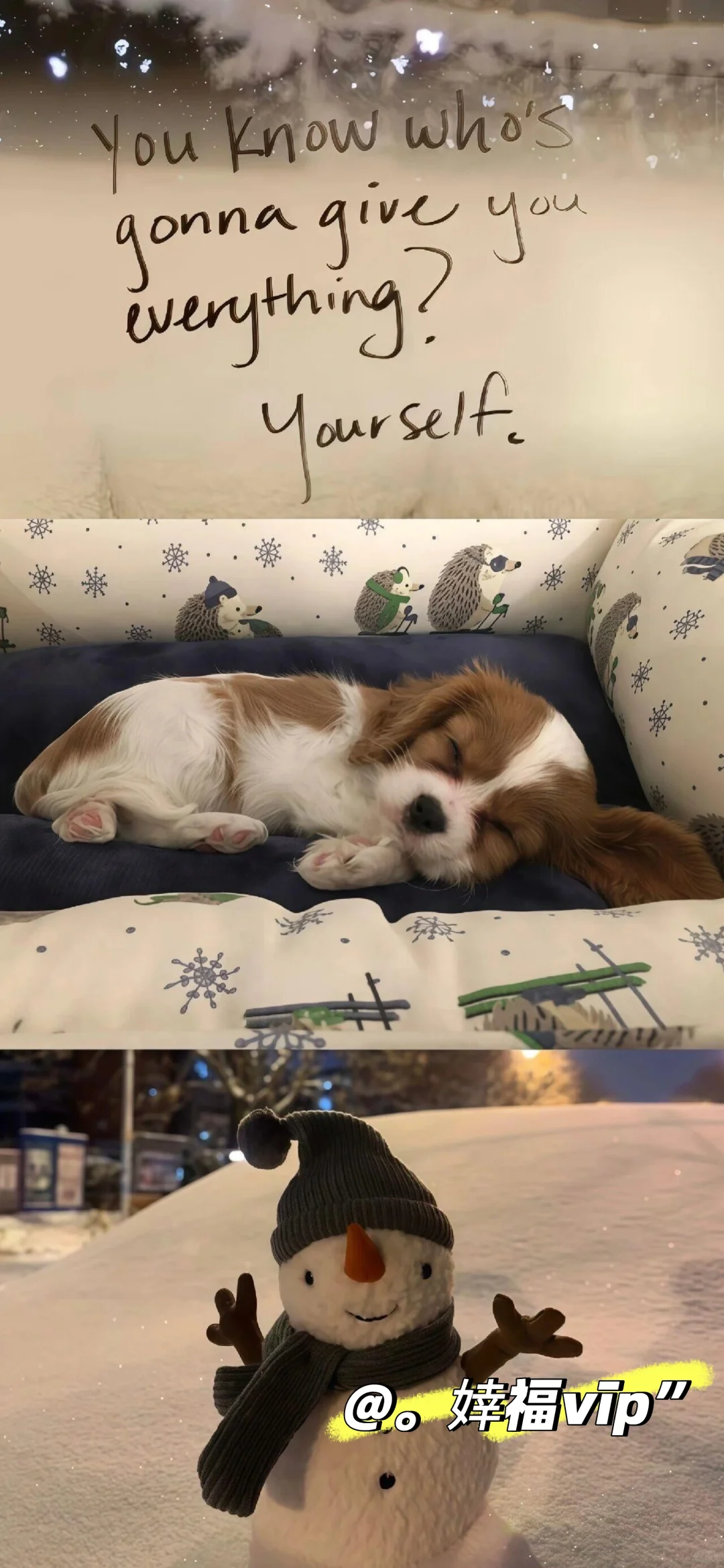 每日壁纸｜❄️❄️❄️