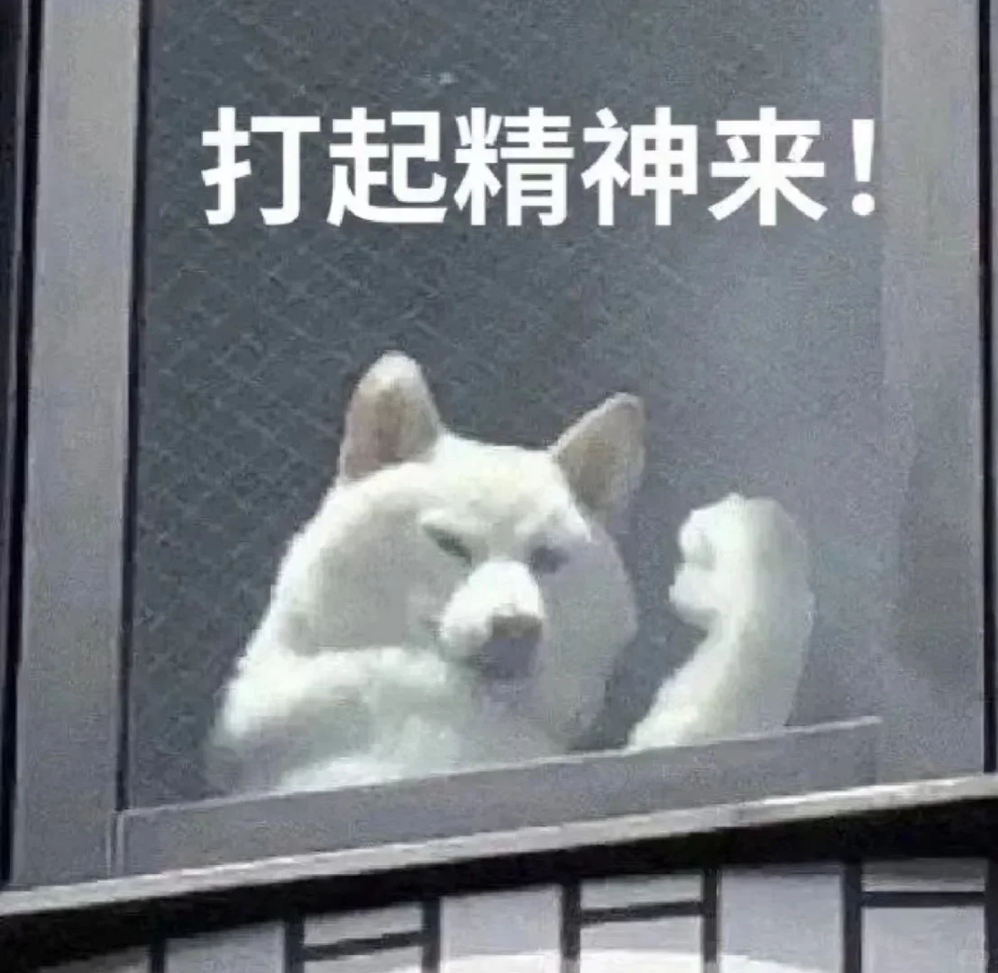 实用表情包5.0｜近期爱用分享