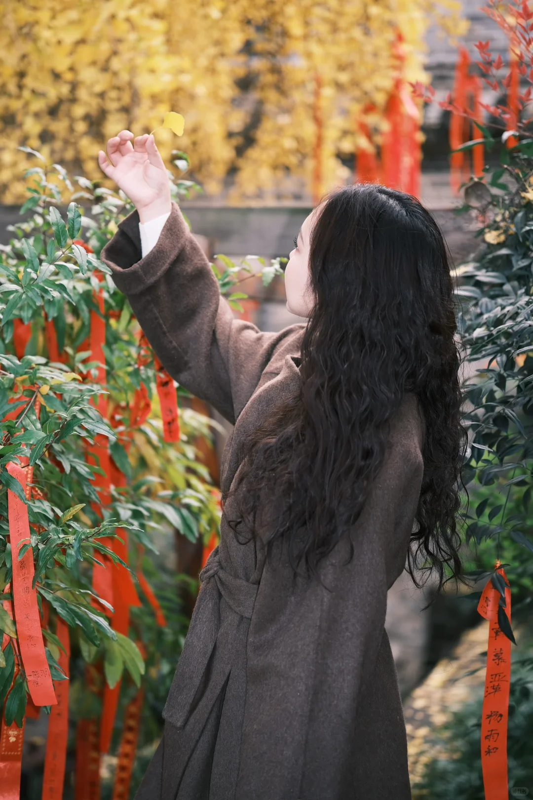 富士女摄｜徐州陪拍