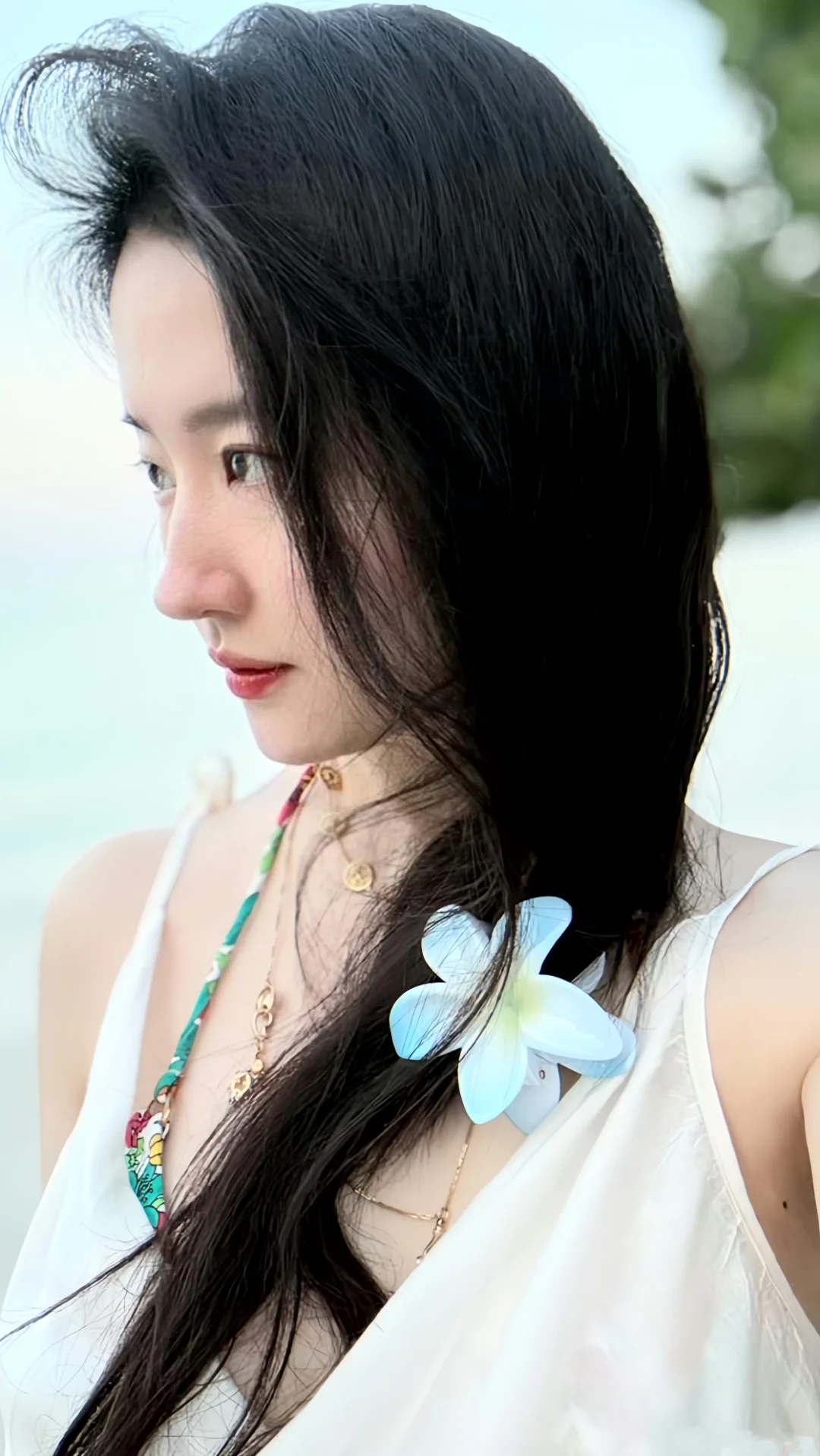 𝑺𝒉𝒂𝒓𝒆｜神仙姐姐