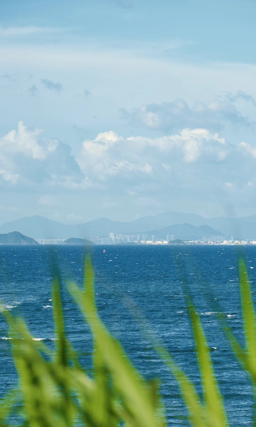 Summer by the Shore 📷