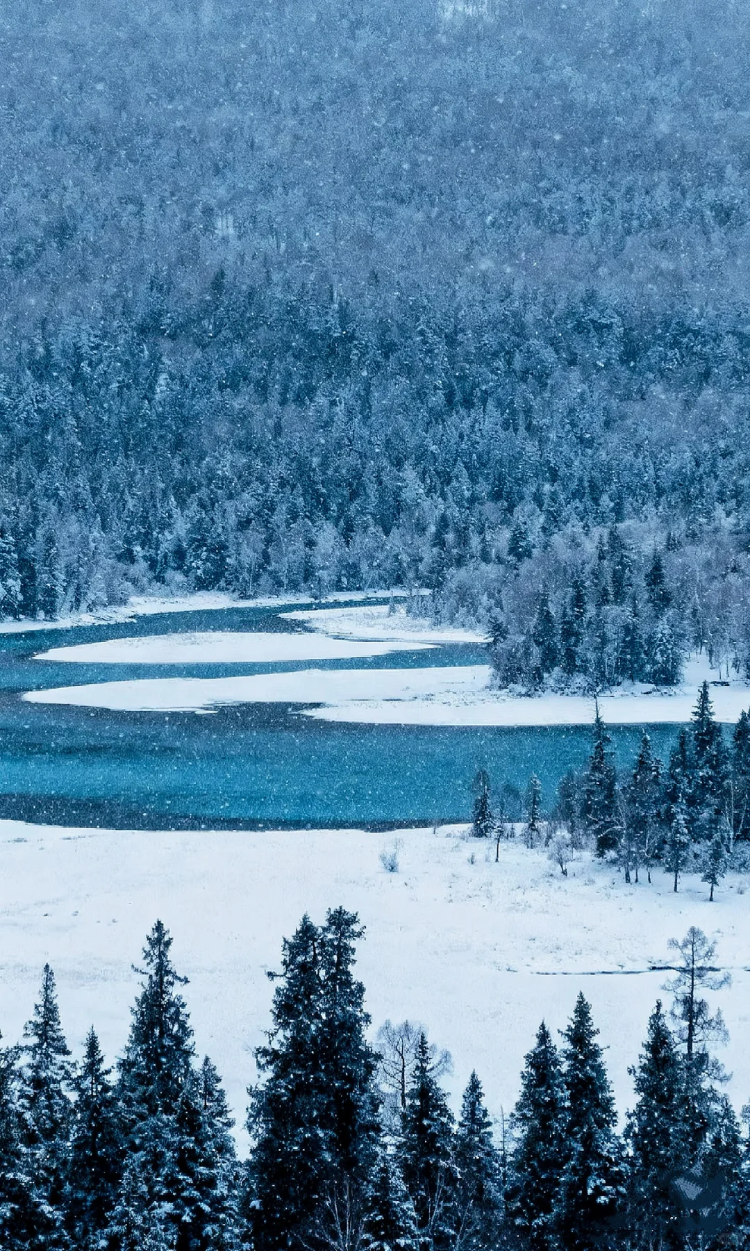 Wallpaper｜纯白世界