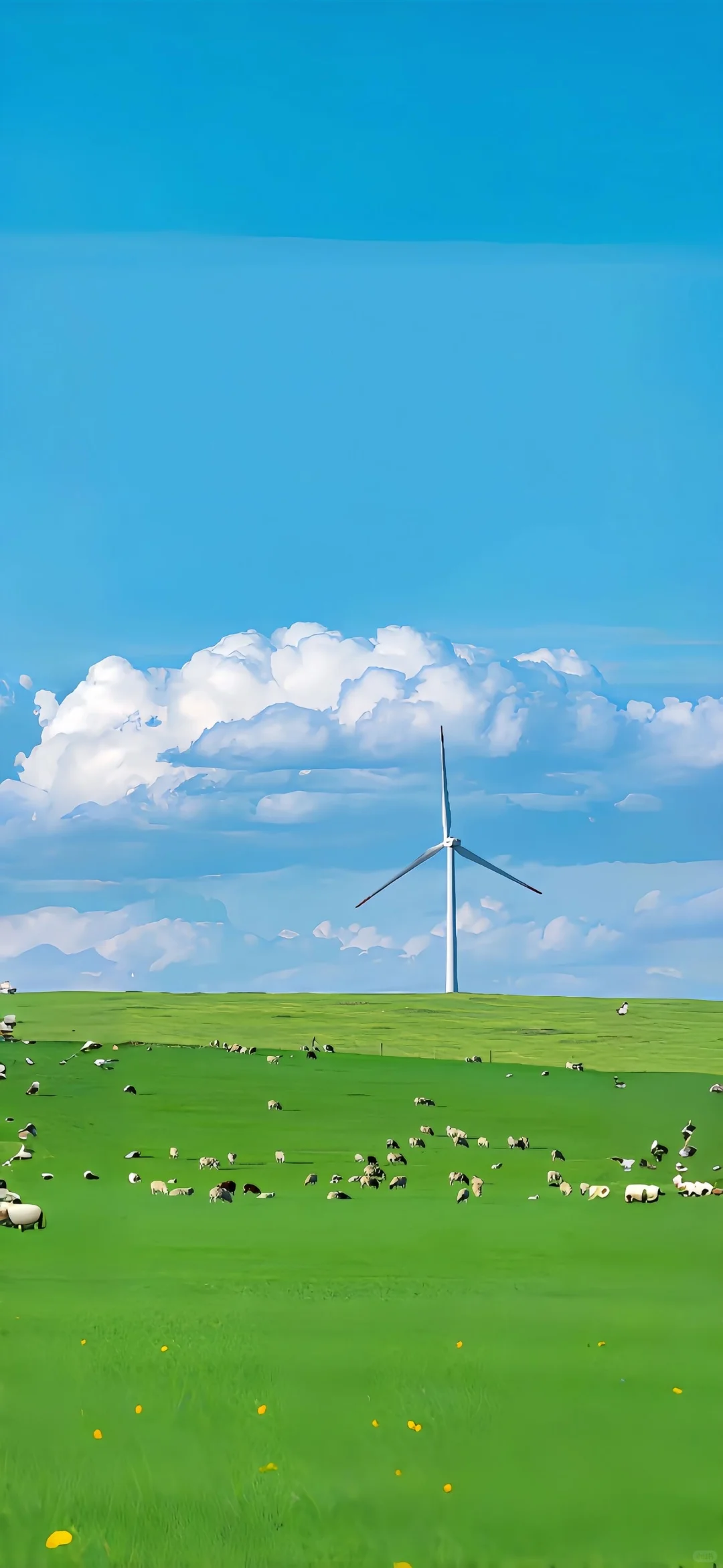 share丨生机盎然的壁纸