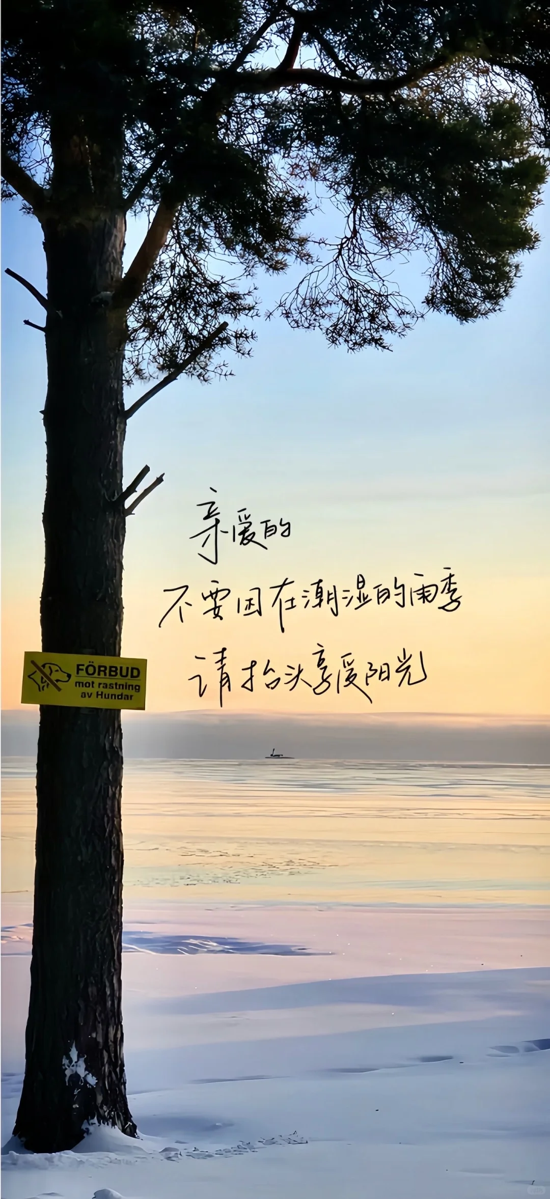 Share/顺顺的生活/壁纸