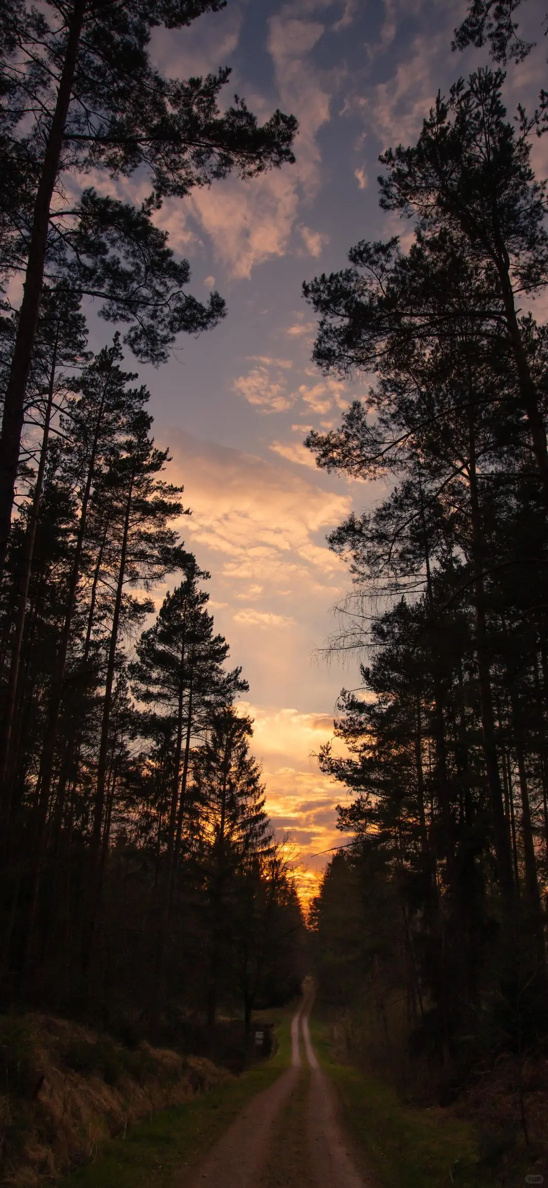 壁纸分享、手机壁纸