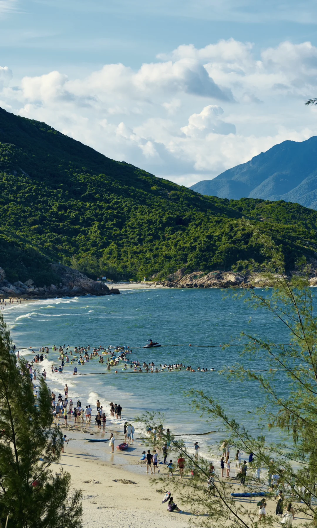 Summer by the Shore 📷