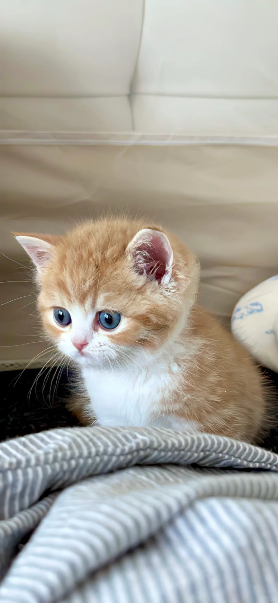 敲喜欢的、氛围感壁纸、治愈系壁纸、敲喜欢的