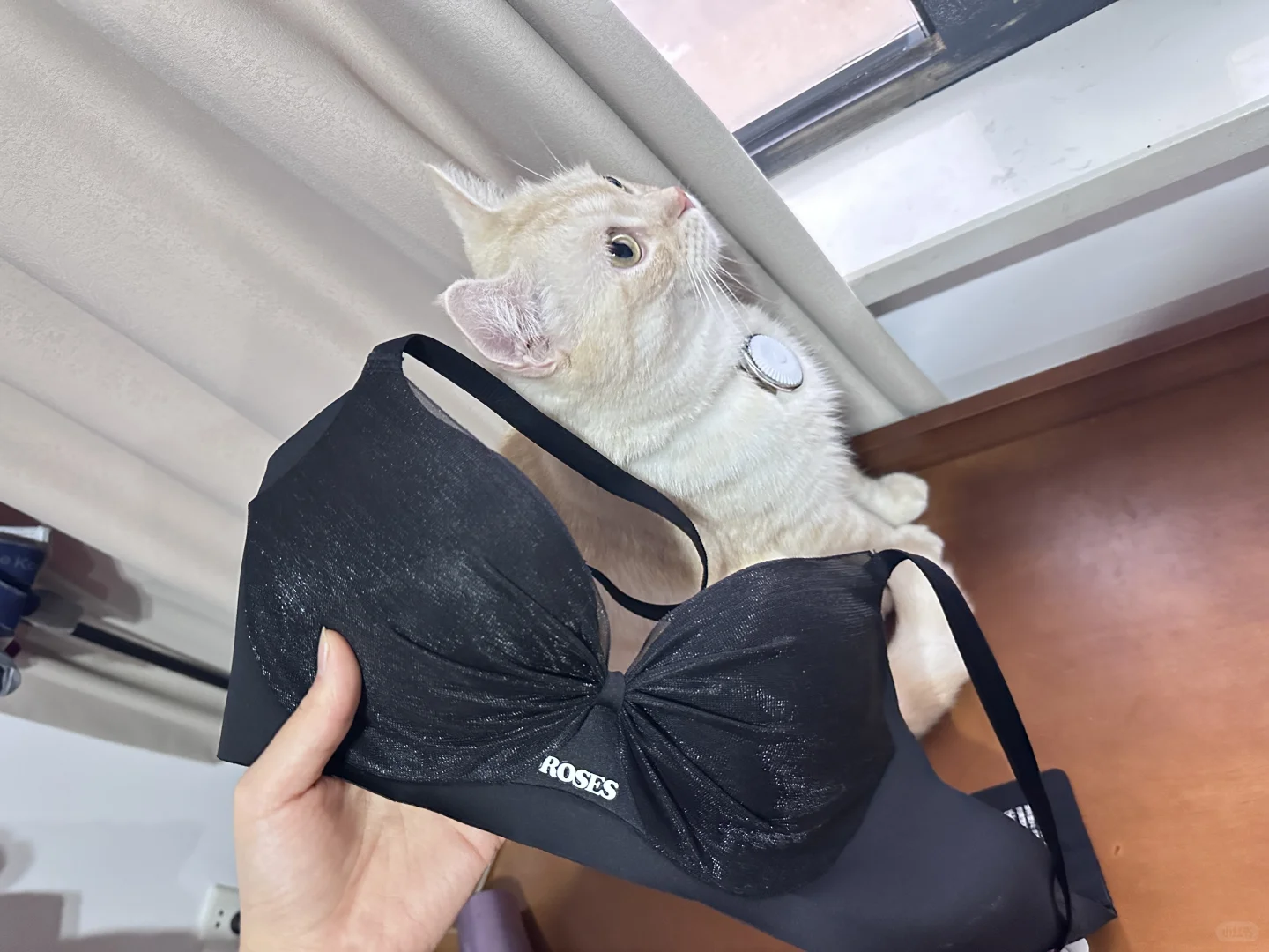 小胸聚拢内衣天花板！！！（秋冬新品）