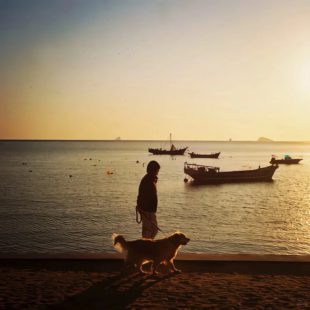 WeChat|留学风|高级文艺感女头＋壁纸