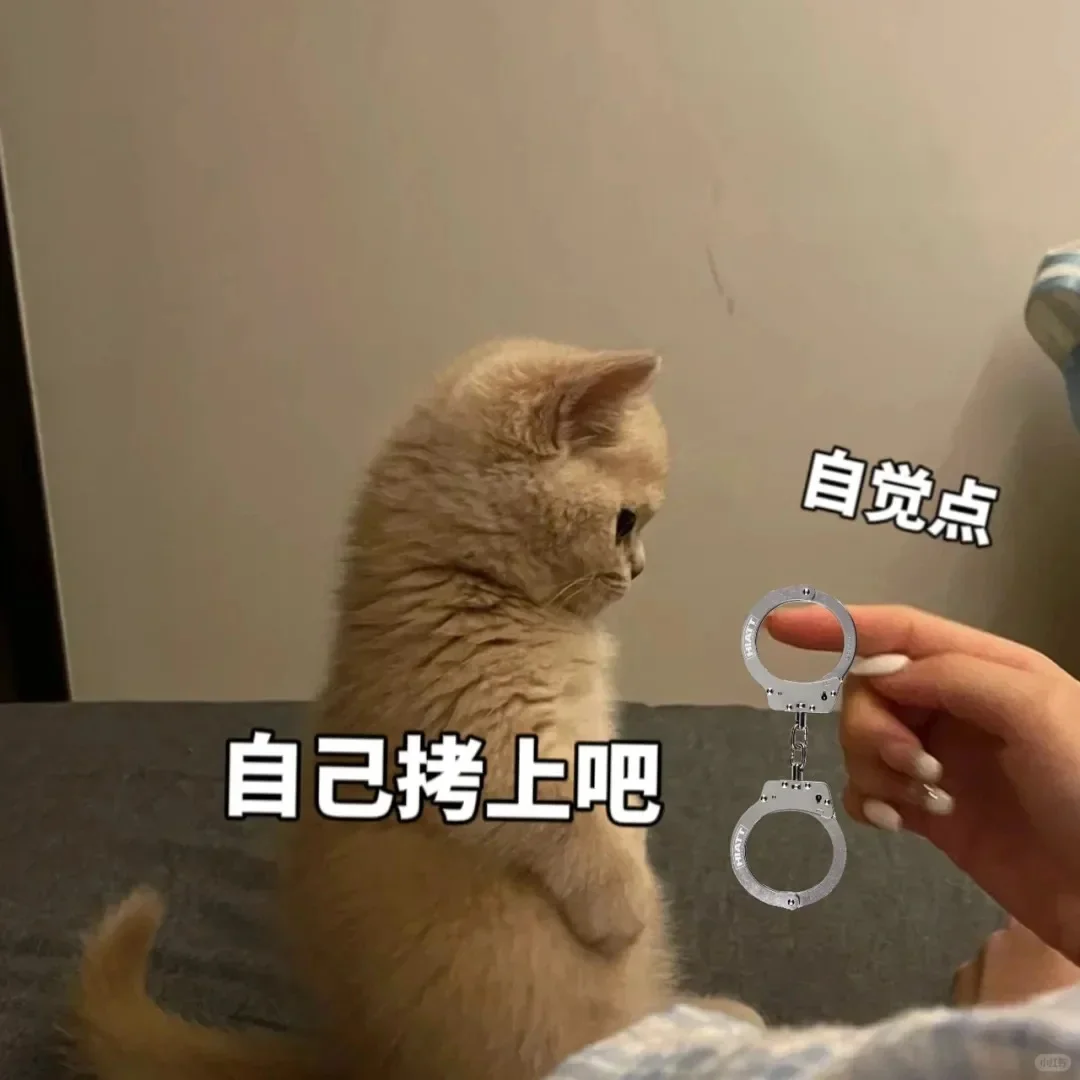 真的好喜欢这个表情包啊啊啊啊阿