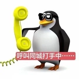 有病企鹅表情包