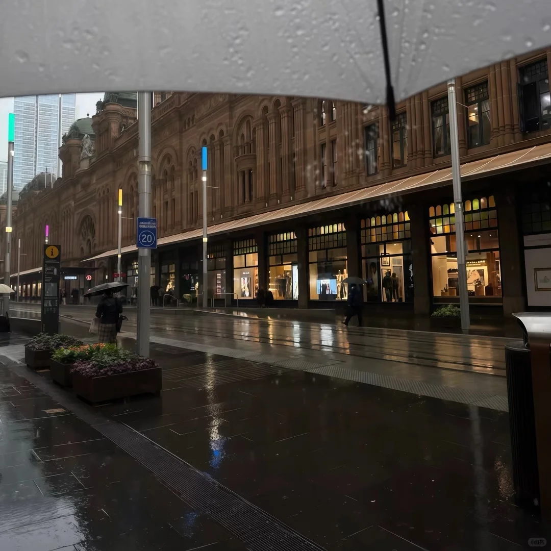 WeChat|留学风|高级文艺感女头＋壁纸