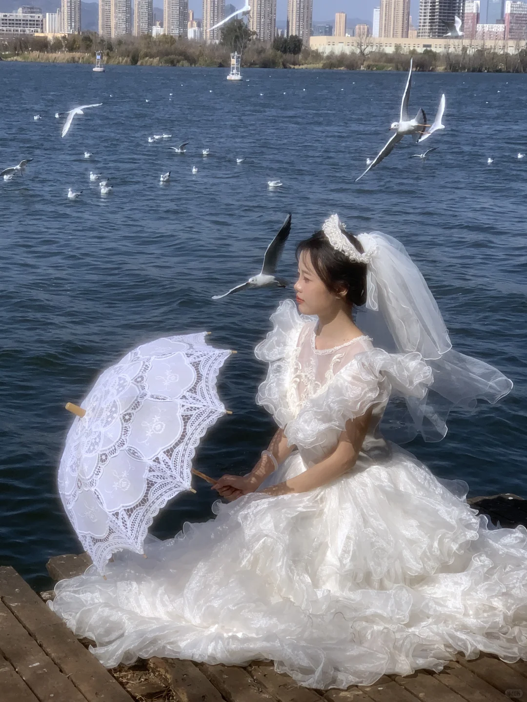 海鸥与婚纱共舞🕊️昆明约拍 昆明海鸥写真